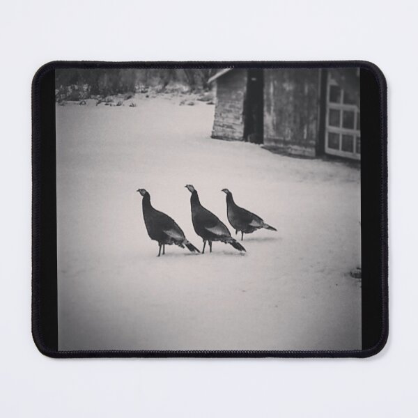 Item preview, The Turkey Trio  designed and sold by Kim Taylor.
