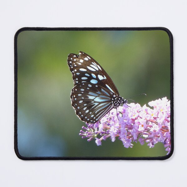 Item preview, Blue Tiger Butterfly designed and sold by Trish Meyer.