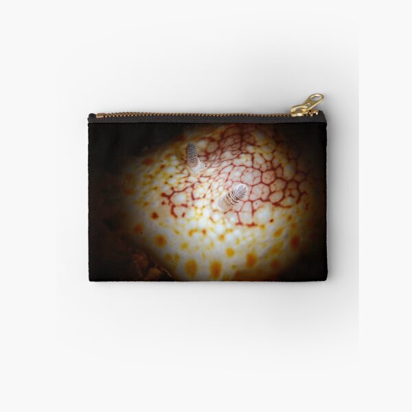 Item preview, Red Netted Chromodoris designed and sold by MattTworkowski.