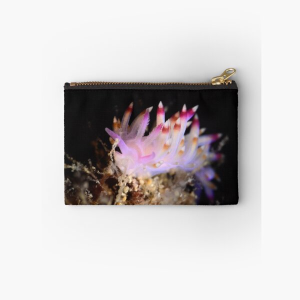 Item preview, Flabellina sp designed and sold by MattTworkowski.