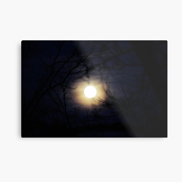 Blue skies at night Metal Print