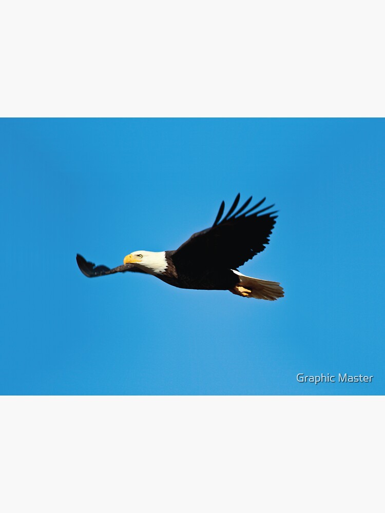 "American Bald Eagle, US National Emblem" Sticker for Sale by kzadro