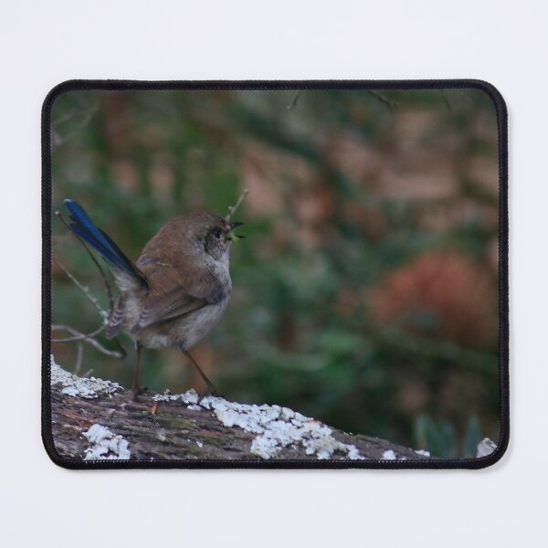 Spring Wren Mouse Pad