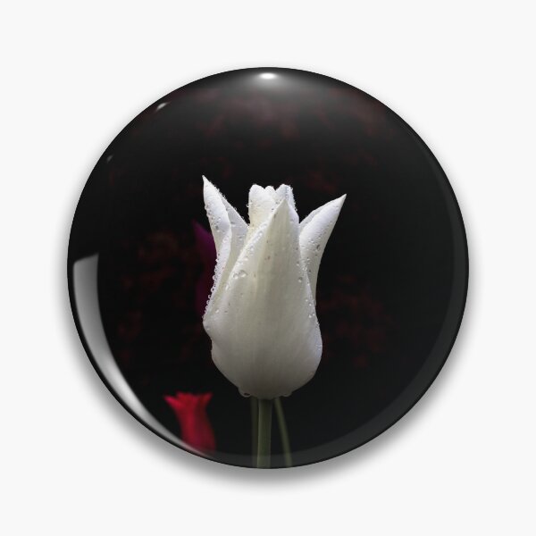 Item preview, White Tulip  on a Black Background  designed and sold by AlexLyubar.