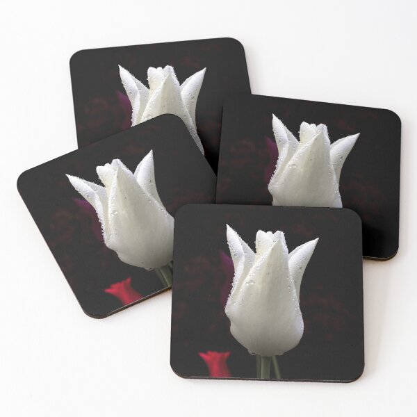 Item preview, White Tulip  on a Black Background  designed and sold by AlexLyubar.