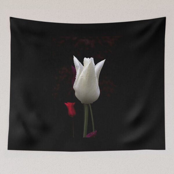 Item preview, White Tulip  on a Black Background  designed and sold by AlexLyubar.