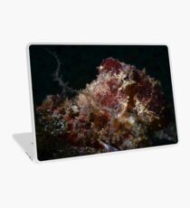 Blue Ringed Octopus Laptop Skin