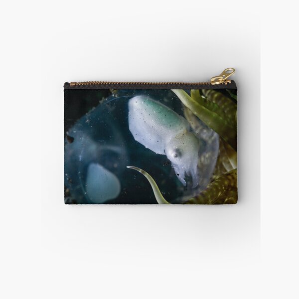 Item preview, Baby Cuttle In Egg designed and sold by MattTworkowski.
