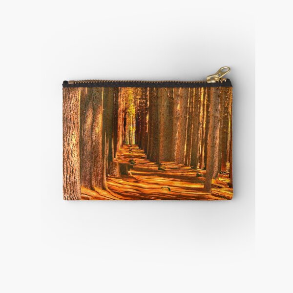Item preview, Cathedral - Sugar Pine Walk, Laurel Hill NSW - The HDR Experience designed and sold by Salieri1627.