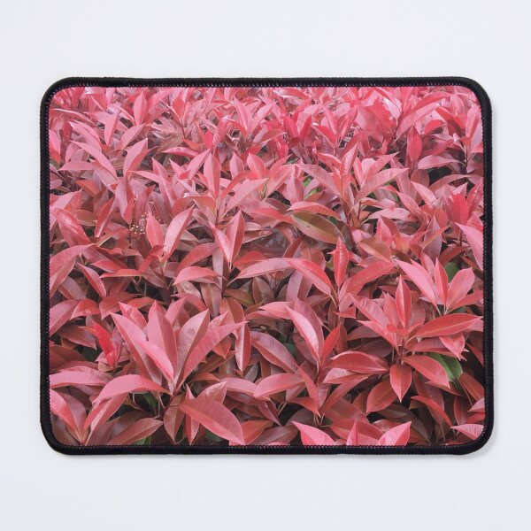 Item preview, Photinia, Spring 2021 designed and sold by RogerRoy.