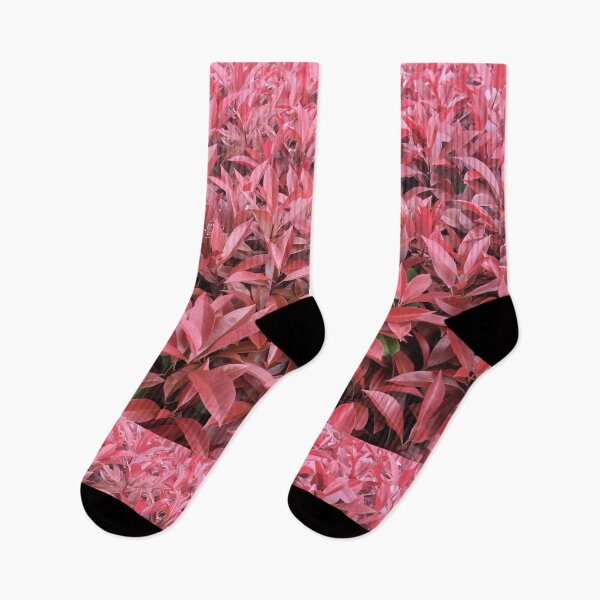 Item preview, Photinia, Spring 2021 designed and sold by RogerRoy.