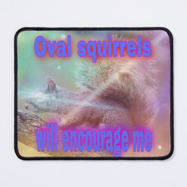 Item preview, Oval Squirrels Will Encourage Me designed and sold by osuaffirmations.