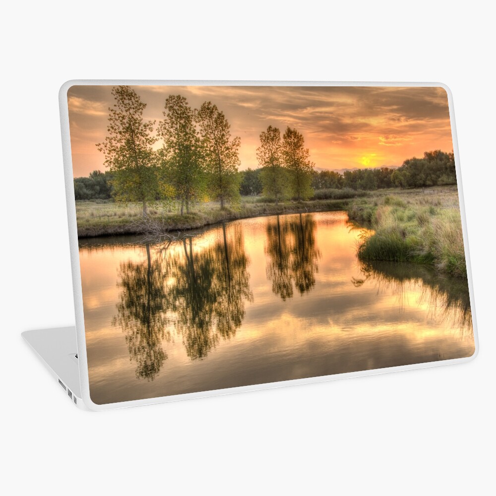 Item preview, Laptop Skin designed and sold by nikongreg.