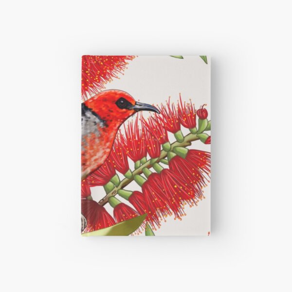 Scarlet Honeyeater in Callistemon #1 by Australian artist Laural Retz Hardcover Journal