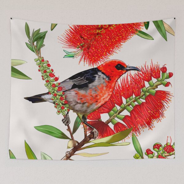 Item preview, Scarlet Honeyeater in Callistemon #1 by Australian artist Laural Retz designed and sold by Laural Retz.