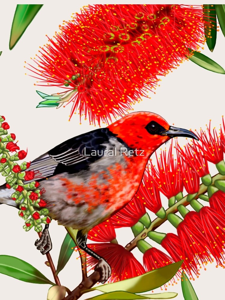 Thumbnail 4 of 4, A-Line Dress, Scarlet Honeyeater in Callistemon #1 by Australian artist Laural Retz designed and sold by lauralretz.