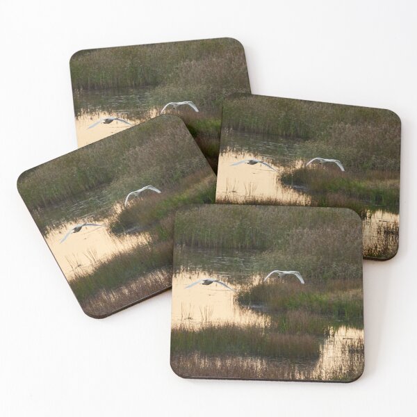 Item preview, Over the wetlands. Whooper swan designed and sold by Jouko Lehto Photography.