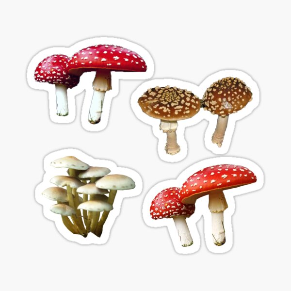 Mushroom stickers (4) Sticker