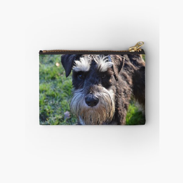 Item preview, Miniature Schnauzer  designed and sold by simon17.