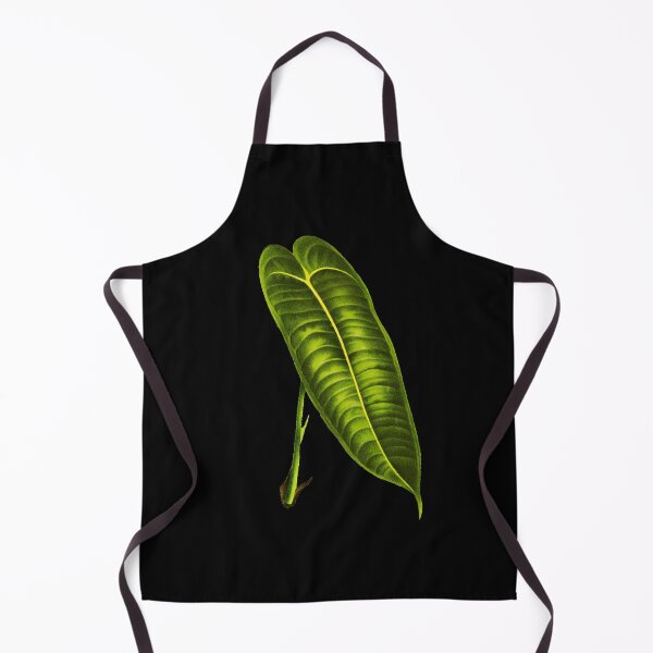 Item preview, Anthurium Veitchii leaf botanical illustration designed and sold by chimakingthings.