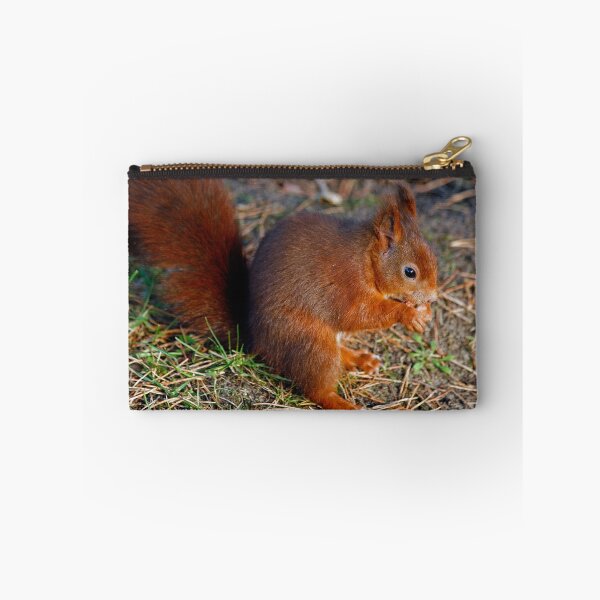 Item preview, Red Squirrel designed and sold by Martin Lawrence.