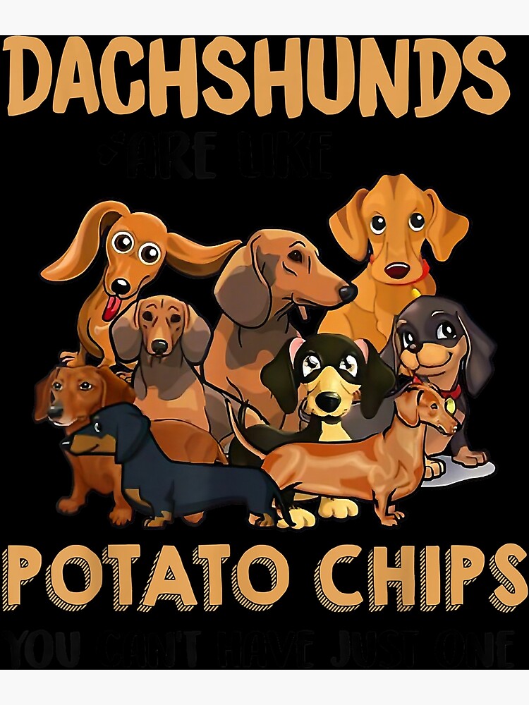 los perros pueden comer papas fritas