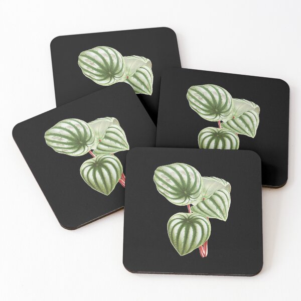 Item preview, Watermelon Peperomia - Botanical Illustration designed and sold by chimakingthings.