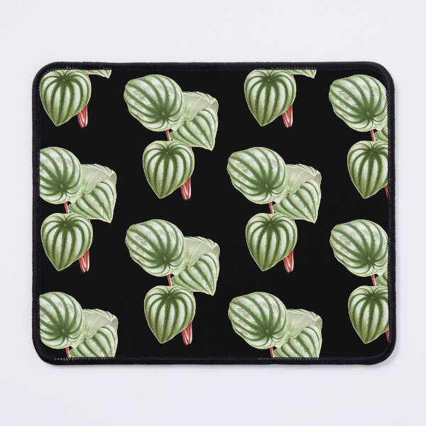 Item preview, Watermelon Peperomia - Botanical Illustration designed and sold by chimakingthings.