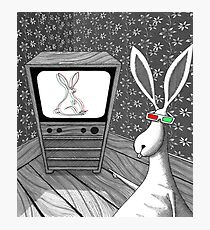 The 3D Rabbit Photographic Print