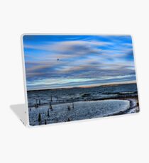 Freezing Laptop Skin