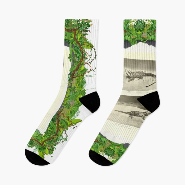 Item preview, Zoological board "Agamas". designed and sold by AdvanceDesign.