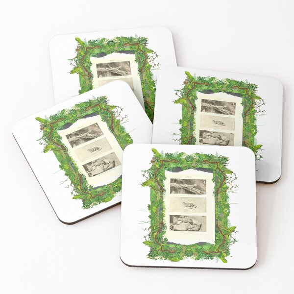 Item preview, Zoological board "Agamas". designed and sold by AdvanceDesign.