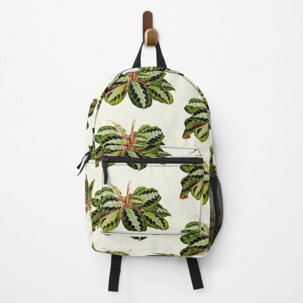 Item preview, Maranta leuconeura "Silver Band" botanical illustration designed and sold by chimakingthings.