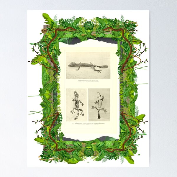 Item preview, Zoological board "Geckos". designed and sold by AdvanceDesign.