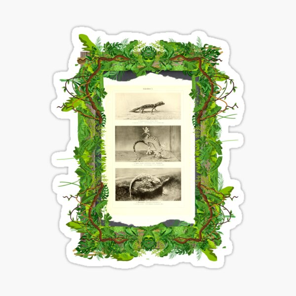 Item preview, Zoological board "Geckos". designed and sold by AdvanceDesign.
