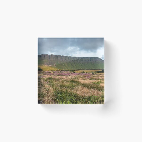 Item preview, Benbulbin designed and sold by Johnny Griffin.