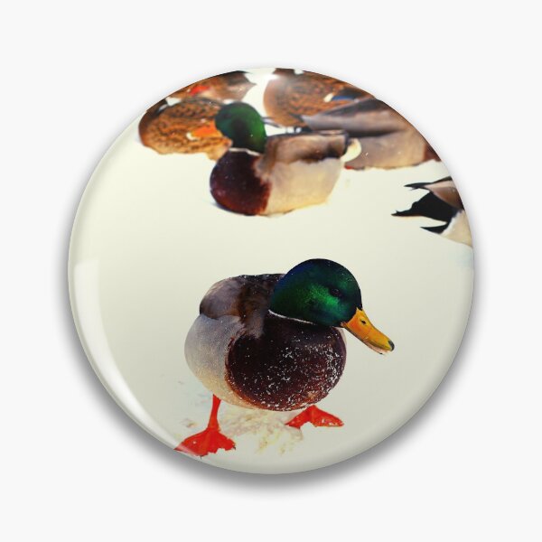 Item preview, ducks photo with high resolution quality designed and sold by Allyouneed-2.