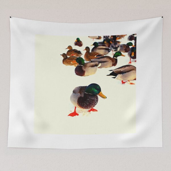 Item preview, ducks photo with high resolution quality designed and sold by Allyouneed-2.