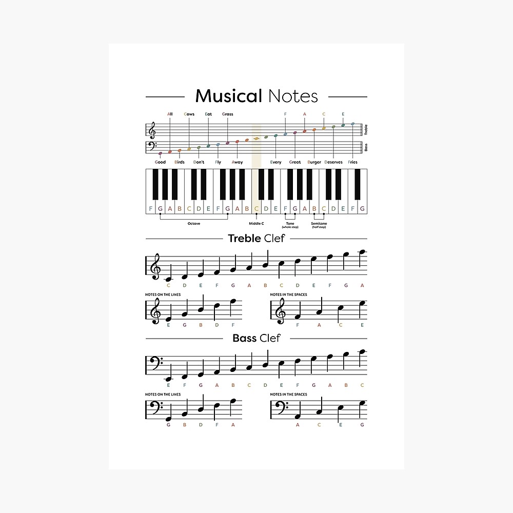 Music Notes Cheat Sheet - Music Theory music-notes-cheat-sheet-music-theory-art-print-for-sale-by-pennyandhorse-redbubble