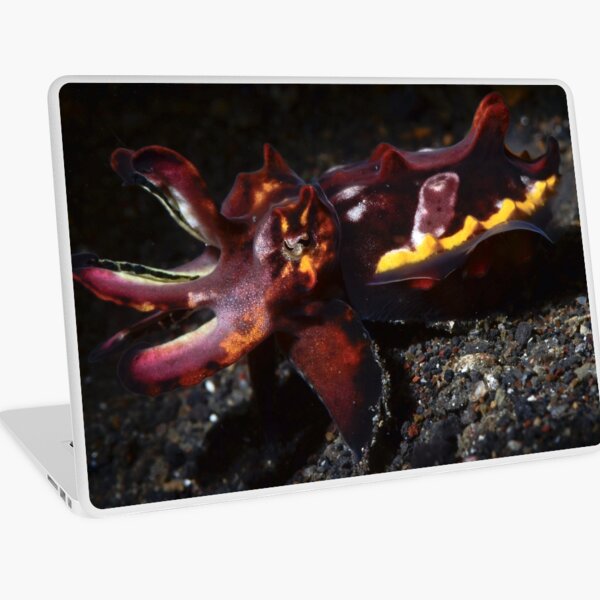 Flamboyant Cuttlefish Laptop Skin