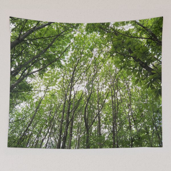 Item preview, Tree tops designed and sold by WonkeyCreations.