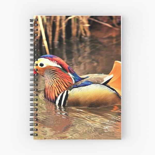 Item preview, ducks photo with high resolution quality designed and sold by Allyouneed-2.