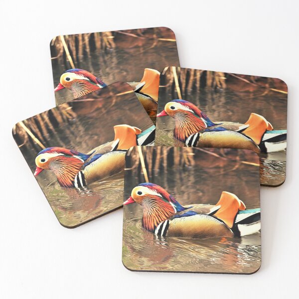 Item preview, ducks photo with high resolution quality designed and sold by Allyouneed-2.