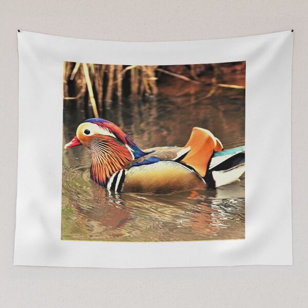Item preview, ducks photo with high resolution quality designed and sold by Allyouneed-2.