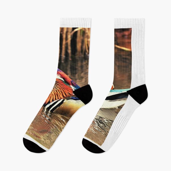 Item preview, ducks photo with high resolution quality designed and sold by Allyouneed-2.