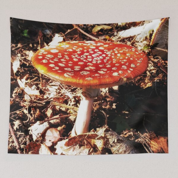 Item preview, Fungi designed and sold by WonkeyCreations.