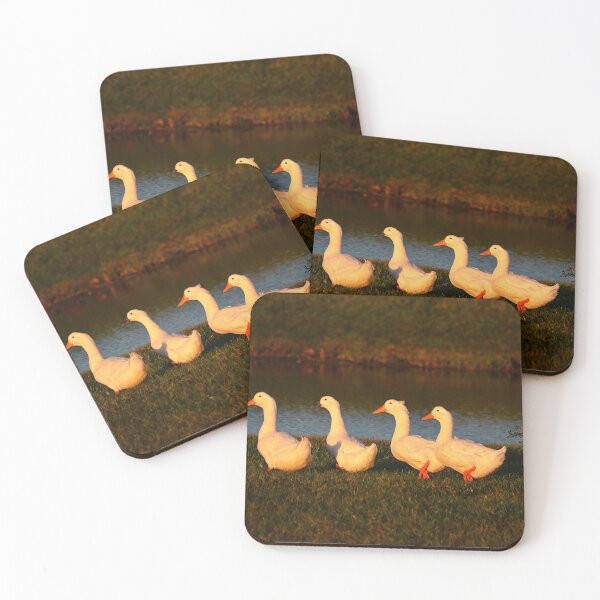 Item preview, ducks photo with high resolution quality designed and sold by Allyouneed-2.