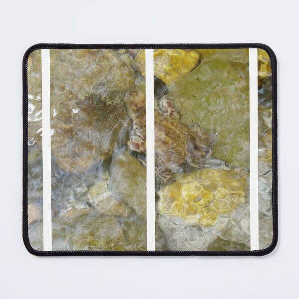 Item preview, A static shot of a toad under the clear water of a mountain stream between rocks and stones; beautiful nature in a sunny day; no people around designed and sold by Maurizio Fabbroni.