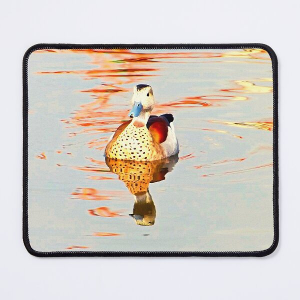 Item preview, ducks photo with high resolution quality designed and sold by Allyouneed-2.