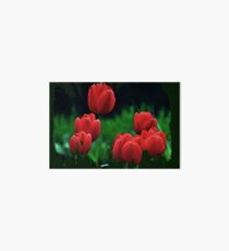 Tiptoe through the Tulips Art Board
